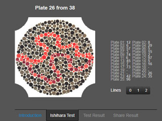 線上色盲測試過程